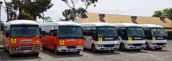 Buswest Kalgoorlie Fuso Rosas